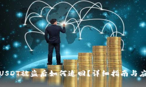 TP钱包USDT被盗后如何追回？详细指南与应对策略