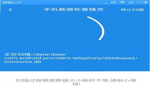 

支持SHIB的电子钱包推荐与使用指南