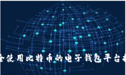 安全使用比特币的电子钱包平台推荐