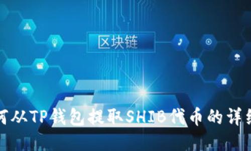 : 如何从TP钱包提取SHIB代币的详细指南