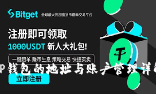 TP钱包的地址与账户管理详解