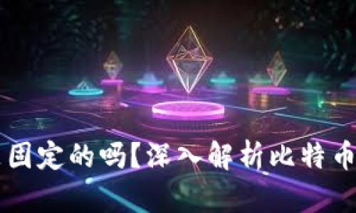 比特币钱包地址是固定的吗？深入解析比特币地址的特性与使用
