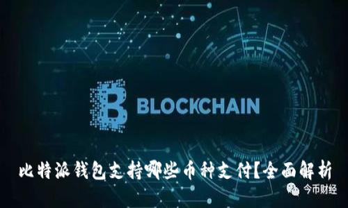 比特派钱包支持哪些币种支付？全面解析