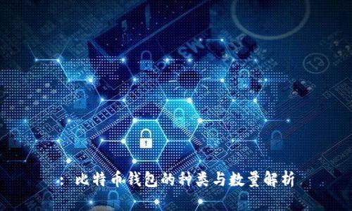: 比特币钱包的种类与数量解析