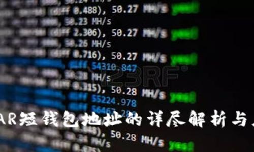 NEAR短钱包地址的详尽解析与应用