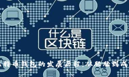 比特币钱包的发展历程：从胚胎到成熟