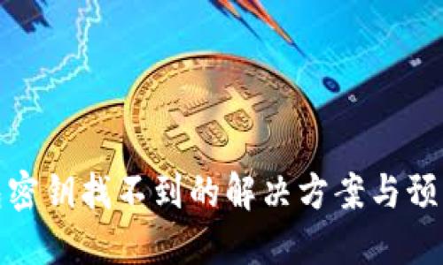 TP钱包密钥找不到的解决方案与预防措施