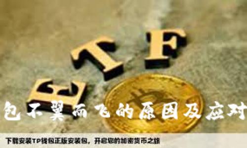 TP钱包不翼而飞的原因及应对策略