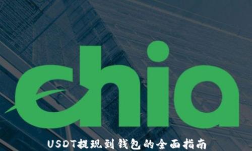 
USDT提现到钱包的全面指南