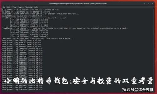 小明的比特币钱包：安全与投资的双重考量