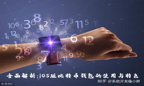 全面解析：iOS版比特币钱包的使用与特色
