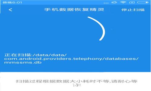 TP钱包中的合约币：真相与风险探讨