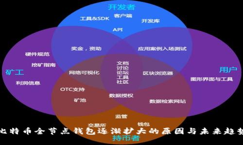 比特币全节点钱包逐渐扩大的原因与未来趋势