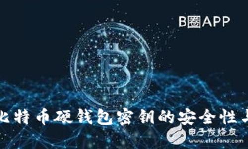 全面解析比特币硬钱包密钥的安全性与管理策略