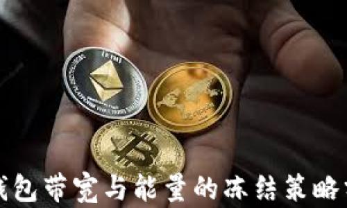 
TP钱包带宽与能量的冻结策略分析
