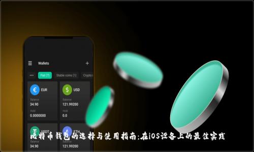 比特币钱包的选择与使用指南：在iOS设备上的最佳实践
