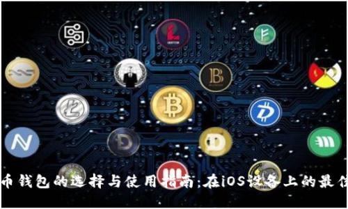 比特币钱包的选择与使用指南：在iOS设备上的最佳实践