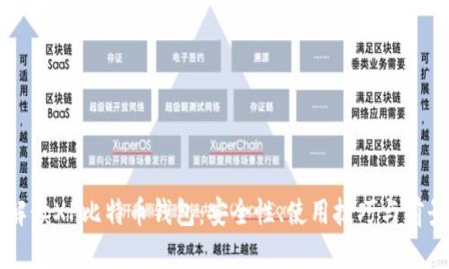 详细解读XP比特币钱包：安全性、使用技巧与前景分析