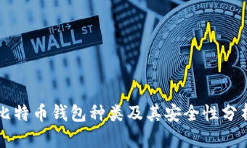 比特币钱包种类及其安全性分析