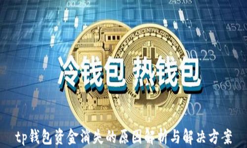
tp钱包资金消失的原因解析与解决方案