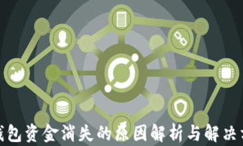 
tp钱包资金消失的原因解析与解决方案