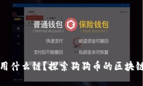 狗狗币提钱包用什么链？探索狗狗币的区块链及其钱包选择