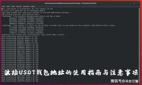 波场USDT钱包地址的使用指南与注意事项
