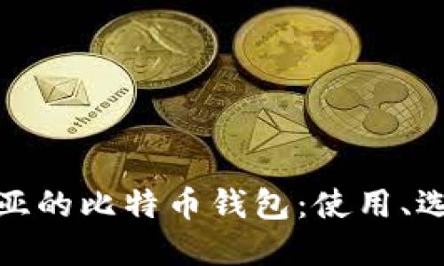 探索印度尼西亚的比特币钱包：使用、选择与未来趋势