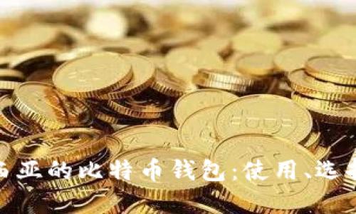 探索印度尼西亚的比特币钱包：使用、选择与未来趋势