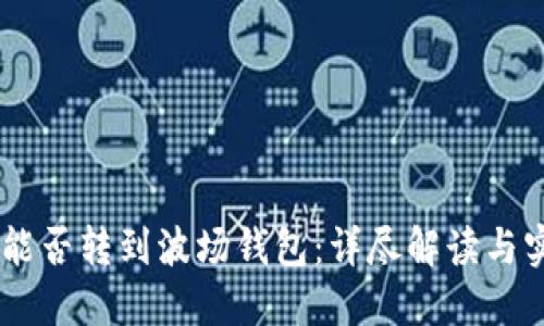 假USDT能否转到波场钱包：详尽解读与实践指南