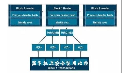 如何在苹果手机上安全使用比特币轻钱包？