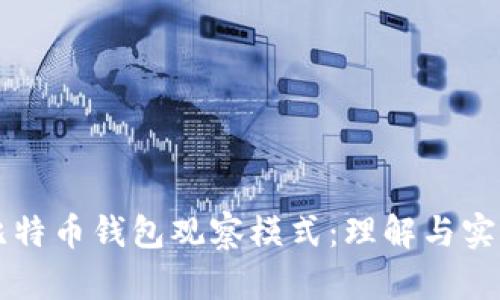 比特币钱包观察模式：理解与实践