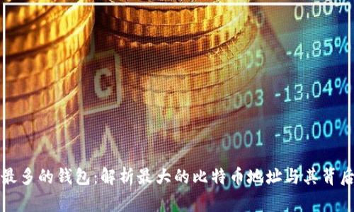比特币最多的钱包：解析最大的比特币地址与其背后的故事