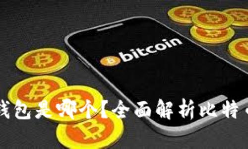 比特币最好用的钱包是哪个？全面解析比特币钱包的选择标准