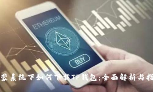 鸿蒙系统下如何下载TP钱包：全面解析与指南