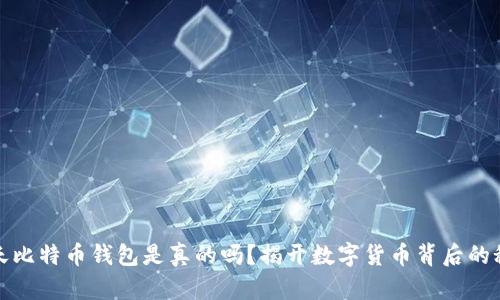 今天比特币钱包是真的吗？揭开数字货币背后的秘密