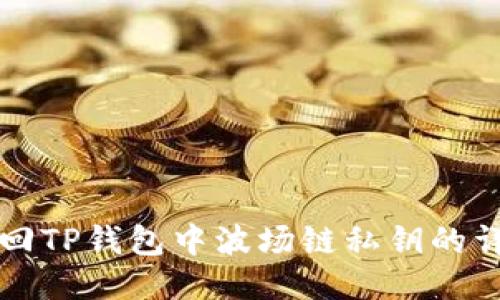 如何找回TP钱包中波场链私钥的详细指南