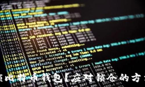   
如何解锁比特币钱包？应对锁仓的方法与技巧