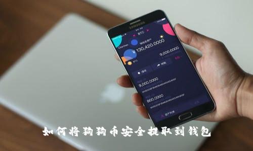如何将狗狗币安全提取到钱包