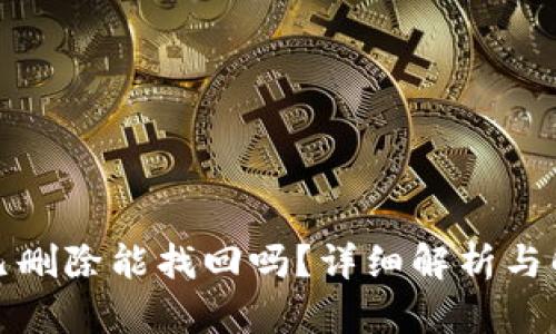 TP钱包已删除能找回吗？详细解析与解决方案
