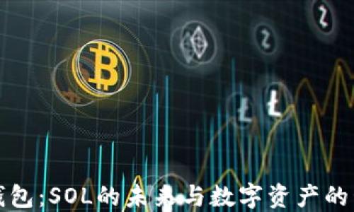 
TP钱包：SOL的未来与数字资产的管理
