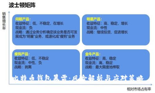 比特币钱包暴雷：风险解析与应对策略