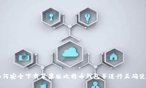 如何安全下载苹果版比特币钱包并进行正确使用