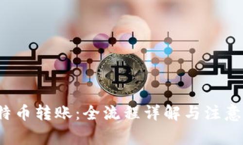  比特币转账：全流程详解与注意事项