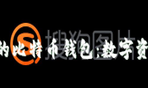 ziaoti烤猫的比特币钱包：数字资产的新方向