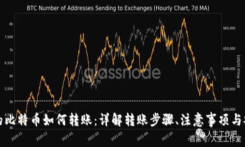 钱包里的比特币如何转账：详解转账步骤、注意事项与安全防护