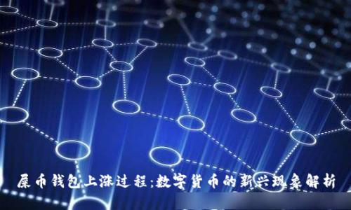 屎币钱包上涨过程：数字货币的新兴现象解析