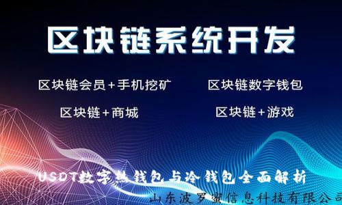USDT数字热钱包与冷钱包全面解析