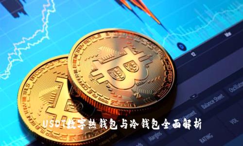 USDT数字热钱包与冷钱包全面解析