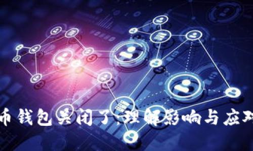比特币钱包关闭了：理解影响与应对策略